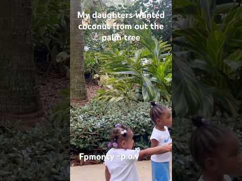 How to remove coconut from palm tree