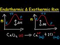 Exploring Heat Flow in Chemical Reactions