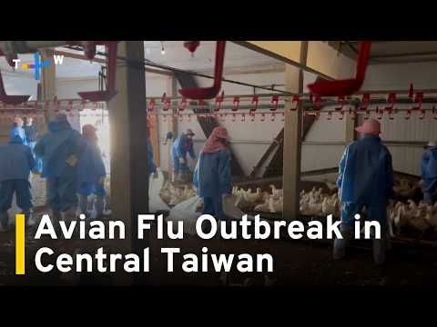 YouTube video thumbnail: County Culls 60,000 Hens to Halt H5N1 Spread