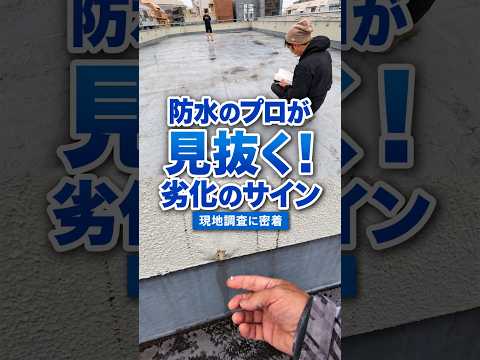 防水のプロが見抜く!劣化のサイン 防水職人 #屋上防水 #ウレタン防水 #塗装職人