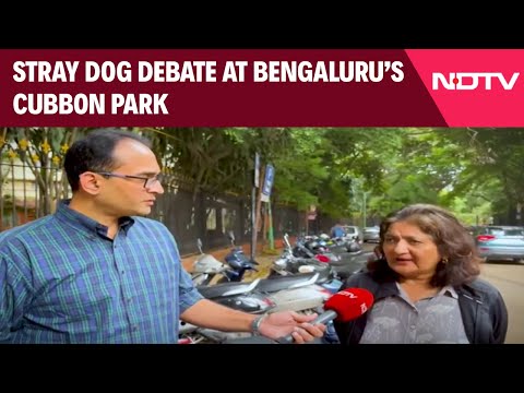 Supreme Court Order On Stray Dogs | The Dog Debate At Cubbon Park!