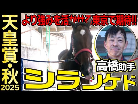 【天皇賞・秋2025】シランケド・高橋助手「正直ここまで来るとは」「東京は強みを活かせるコース」《JRA共同会見》