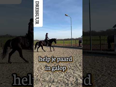 Help een paard in galop 🏇 #paardrijden