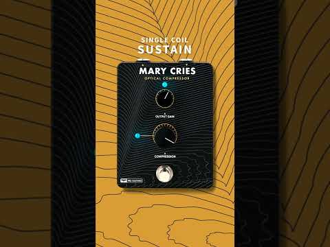 Mary Cries: Single Coil Sustain | Tone Samples | PRS Guitars #shorts