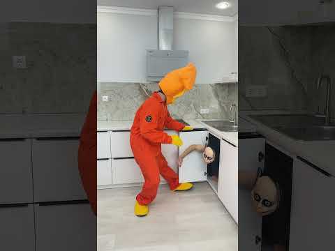 What is Momo Doing Here?