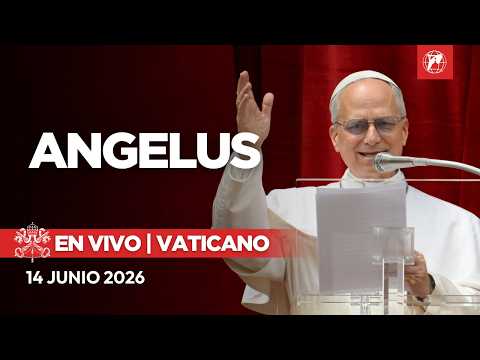 EN VIVO | Angelus del Papa León XIV desde el Vaticano | 14 de Junio de 2026
