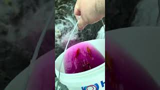 تربيه انواع مختلفه في بركه الشلال