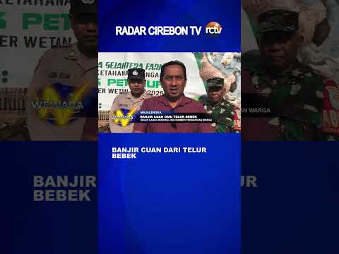 Banjir Cuan dari Telur Bebek