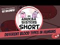 Understanding Blood Types