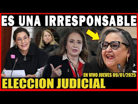 QUIEREN DEJAR FUERA A LENIA A LORETA Y YASMIN ESQUIVEL! PJ TRUNCHA LA ELECCIÓN