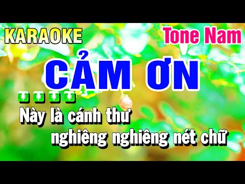 Karaoke Cảm Ơn Tone Nam Beat 2025 | Huỳnh Anh