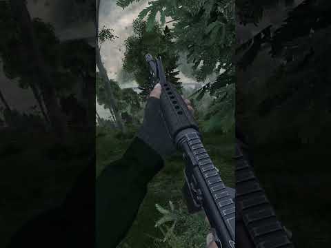 When There's No Survivors in DayZ