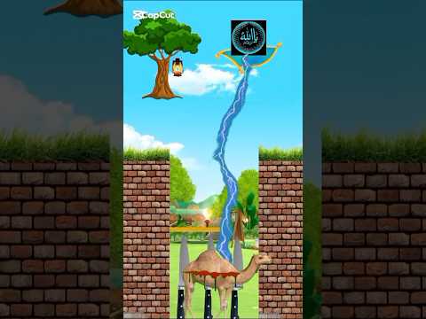 #live #music #love #comingsoon #animals #shorts