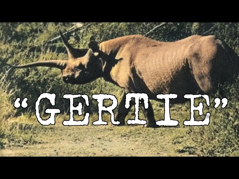 GERTIE (Video Real) | Criptozoologia