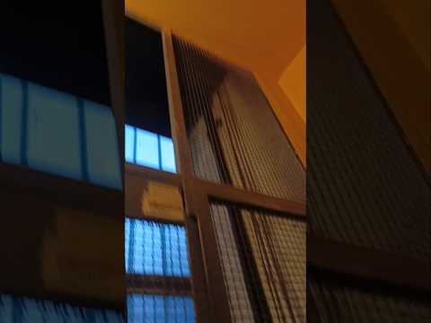 Výtah Transporta TOV 250 Na Bayerové 11 (Zepředu)