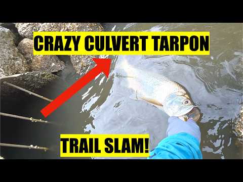 Cracking the code on backcountry culverts! video thumbnail