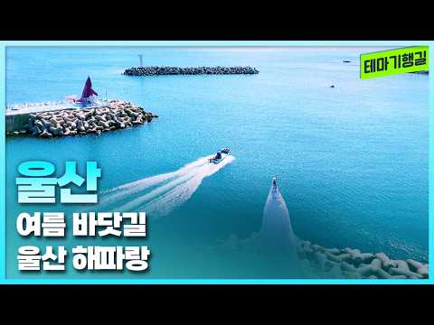 여름 바닷길 <strong>울산</strong> 해파랑 | 테마기행길 260821방송