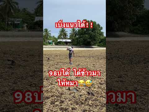 เบิ่งแนวได้ 98บ่ได้ ได้ข้าวมาให้หมา😅 #คนไทยในต่างแดน #funny #funnyvideo #funshorts #ตลก #ขำๆ#555