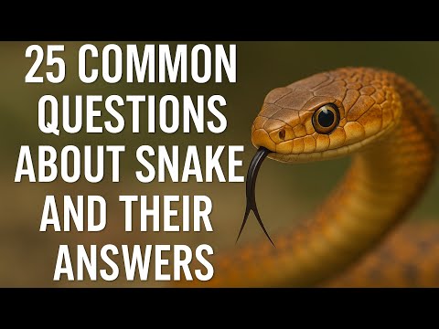Things You Will Know About Snake 1000% Real Part 2