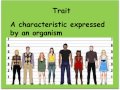 Exploring Basic Mendelian Genetics Concepts