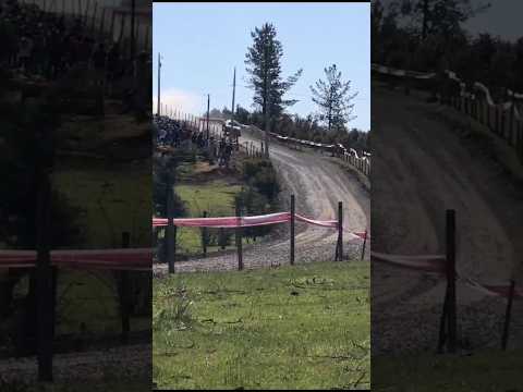 Impresionante andar de Ott Tänak😳WRC Chile 2023#rally