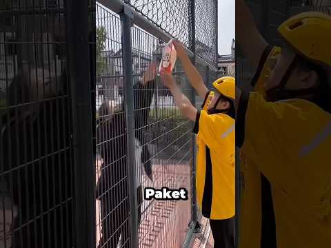 Sie dachten es wäre einfach bis dahin 😲