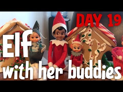 ELF ON THE SHELF WITH HER BUDDIES!!