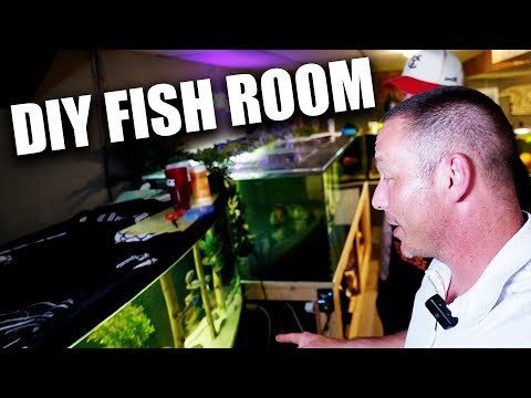 FAN AQUARIUM TOUR!! Scott's DIY fish room! The king of DIY