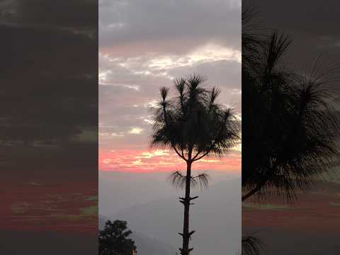 Aaj ki raat #travelvlog #nature #uttarakhand #love #saanjh