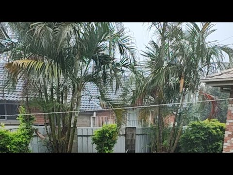 Muslim Gacha in big thunderstorm