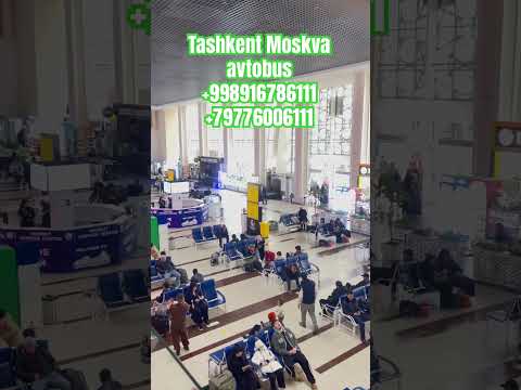 Tashkent moskva avtobus #tashkent #москва #avtobus #shorts #shortvideo #