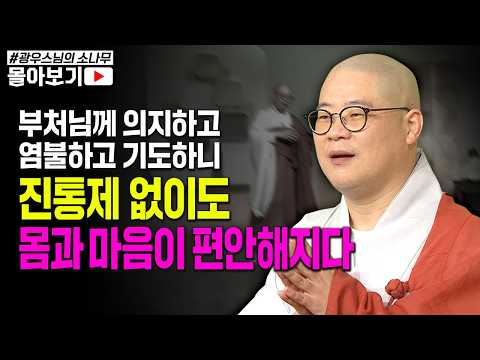 몸이 아파 부처님만 잡고 염불만 계속 했더니.. 그날 꿈에 금빛 찬란한 부처님을 보고 일어난 믿을 수 없는 일! [초심으로 돌아가는 광우스님의 소나무 시즌3 몰아보기]