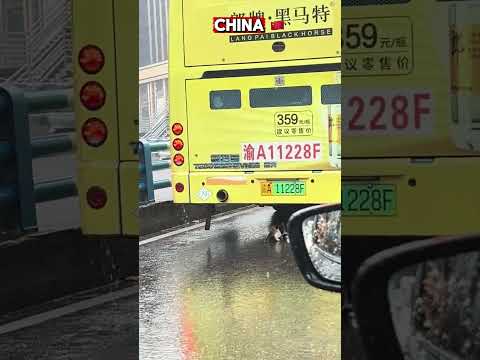 This Scene ๐ #raining #traffic #explore #china #trending #ytshorts #cat