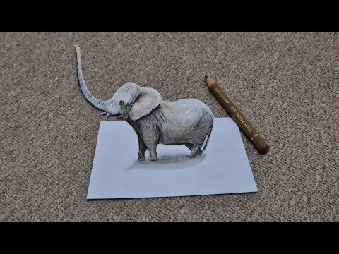 3d drawing elephant on paper