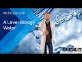 Exploring the Biological Properties of Water