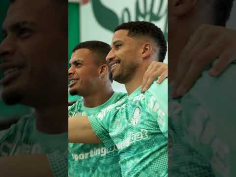 image para ilustrar o artigo