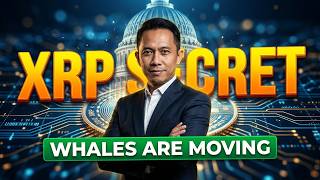 Rahasia XRP : Apa yang Disembunyikan Para Paus?