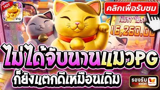 สล็อตpg สล็อตพีจี เว็บตรงpg เกมใหม่pg สมัครpg