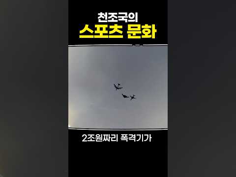 천조국의 스포츠 문화