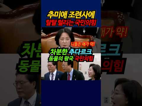 추미애 조련사에 탈탈 털리는 국민의힘! #shorts