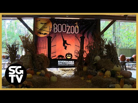 Annual Boo at the Zoo Event Returns to Riverbanks Zoo