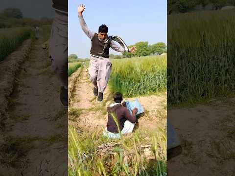 Amazing flying 🪰#flying #humor #farminglife122