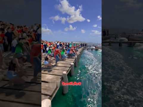 اذا قام كل البشر برمي اظافرهم بالمحيط! 🤯