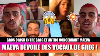GREG VS ANTHO : GROS CLASH CONCERNANT MAEVA ! 😱 MAEVA BALANCE DES VOCAUX DE GREG EN LIVE !
