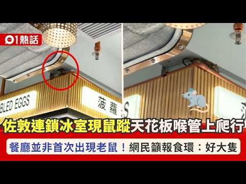 縮圖