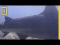 Critter Cam Deployment and Shark Behavior