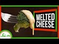 Understanding the Science of Melted Cheese