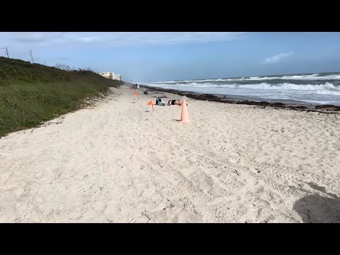 Флорида 🌴 .	«Мой день у океана: солнце, ветер и шторм Мелисса 🌴