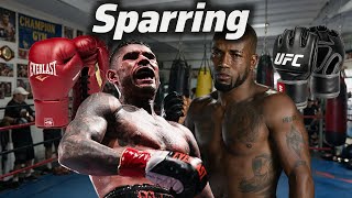 Arnold Barboza Jr Vs Bobby Green SPARRING🥊)