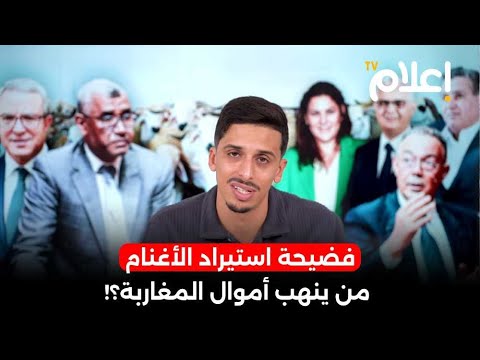 فضيحة استيراد الأغنام: من ينهب أموال المغاربة؟! #أشرف_بلمودن